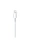 Cablu Date Apple Lightning 1m Alb - 2