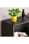 3-Tier Wooden Bookcase & Display Unit – Black Large Storage for Books & Accessories - 7