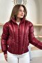 Women's Shiny Fabric Short Length High Collar Zippered Trendy Puffer Coat - 6