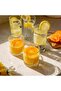 Brit Water Glasses - Water Soft Drink Glasses Set 12 Pieces Brt440-Brt430