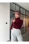 Stand-Up Collar Burgundy Transparent Blouse
