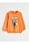 Crew Neck Printed Boys' Sweatshirt