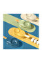 2 in 1 Dumpling & Samosa Maker – Easy Kitchen Tool for Quick Snacks & Perfect Folding - 5