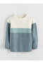 Crew Neck Boy Knitwear Sweater - 3