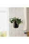 PÄRLRÖNN Hanging planter, in/outdoor/black, 15 cm - 4