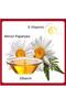 Moisturizing Anti Age Hand Cream with German Chamomile and Glycerin 80 Gr - 4