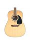 F800N Akustik Gitar
