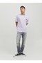 Jjiliam Jjseal Ge 284 Gray Men's Low Waist Skinny Fit Denim Pants 12229187