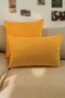 Special Design Set of 2 Throw Pillow - Soft Texture, Decorative Pillow Face Throw Pillow 30x50 45x45 - 3
