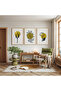 Minimalist Plants with Wooden Frame Triple Wooden Painting Set - 3