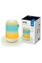 Portable Smart Light, Rechargeable, Tunable White And RGB, Wi-Fi And Bluetooth, App and Voice Co