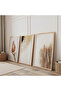 Wooden Framed Minimalist Natural Botanical Forms Triple Wooden Painting Set - 2