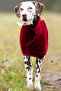 Premium ®   Natural Cotton Super Water Absorbent Luxury Towel Adjustable Waist Bathrobe for Small and Large Breeds