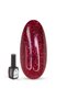 Stardust Gel Nail Polish – 22 Holographic Galaxy Colors, 8ml Each | Long-Lasting UV/LED Soak Off
