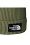Tnf Logo Box Pom Beanie Unisex Beanie Nf0A8Chfbo91 Green-Std - 3