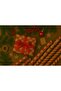 Package Paper Kraft Paper Wrapping Paper Gift Paper New Year's Dowry Packaging Paper 70x100 (10 PCS) - 5