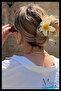 Lotus Flower Latch Buckle |   Large Size |   Durable Quality Imported Hair Accessory - 4