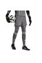 Men's Gray Tights T25 P Gk Tightm Jn2010 - 4