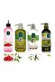 Perfect Hair Care Set-H-Pro- Shampoo, Conditioner, Tonic and Lotion