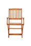 9 Piece Folding Outdoor Dining Set Solid Eucalyptus Wood - 2
