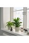 KÖRSBÄRSBJÖRK Plant Pot, Light Grey-Beige, 9 cm - 3