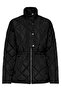15354432 Zippered Stand-Up Collar Quilted Coat - 6