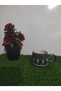 Coffee Cup'Bolu' - 3
