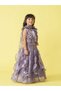 Embellished Ruffle Detail Sleeveless Top and Lehenga Set with Dupatta - 2