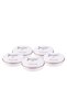 Apple Chips 5X25G (Used as a Smoking Agent and Flavor Enhancer in Beverages.)