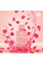 Badee Al Oud Noble Blush - 6