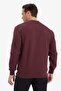 Cotton Regular Fit Basic Sweatshirt E8339Ax25Au - 3