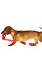 Orma Large Dog Toy Yellow - 4