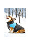 Waterproof Winter Coat with Leash Area for Dog - 3