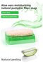 Natural Pumpkin Fiber Aloe Vera Extract Handmade Soap – Moisturizing, Purifying, and Herbal Exfoliating