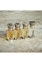 Shaghaf Oud Tonka Perfume Oil 12ml - 4