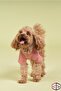 100% Organic Cotton Fabric Dog Outfit, Hands Pink - 7