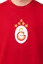 Licensed Championship 5 Star Jersey T-Shirt with Scarf Gift - 4