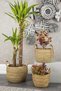 Wicker Basket 3 Size Luxury Organizer, Flower Pot Basket, Decorative Basket, Home Decor - 2