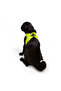 Air-Mesh Small and Medium Breed Cat and Dog Chest Harness - Soft, Breathable, Durable Neon Lime - 8