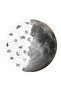 لغز خشبي - قمر كامل - 252 قطعة، 29×29 سم - 3