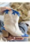 DORİ BEIGE SUEDE BLUE SNAKE LEATHER DETAIL DALLAS WESTERN BOOTS - 8