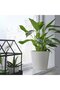 SOJABÖNA Plant pot, white, 19 cm - 6
