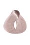 Coloray Cream 10/01 | Lightest Blonde Natural Ash| 100 Ml - 3