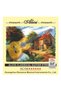 Alice 6-string classical guitar string set, nylon and silver - 2