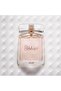Shahrukh Perfume for Women Eau de Parfum 90ml - 3