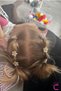 10-Piece Pink Floral Stone Snap Clip Knitted Hair Ornament - Teenage Girls' Decorative Hair Clip Earrings Metal - 3