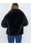 Ara Boy Lolita Fur (with Astartr) - 4