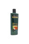 Botanique Nourish & Replenish Shampoo - 400 ml - 2