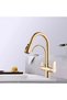 Gold Kitchen Sink Faucet with Spiral Dual Flow Water Purifier Outlet - 3
