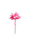 Floare Lotus pink - 2
